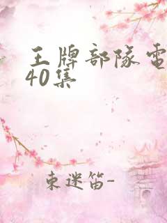 王牌部队电视剧40集