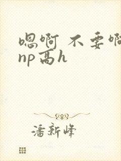 嗯啊 不要啊 np高h