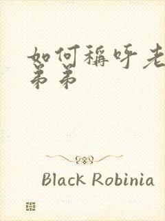 如何称呼老婆的弟弟