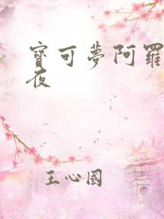 宝可梦阿罗拉之夜