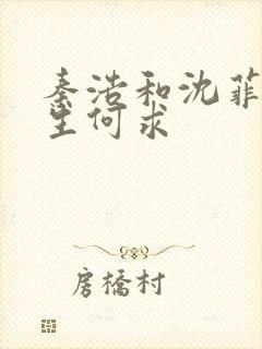 秦浩和沈菲雪一生何求