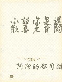 小说你是迟来的欢喜免费阅读