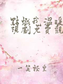 点燃我温暖你电视剧免费观看软件