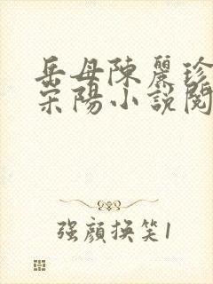 岳母陈丽珍女婿宋阳小说阅读