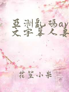 亚洲乱码av中文字幕人妻