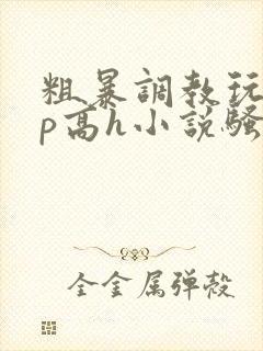 粗暴调教玩弄np高h小说骚受