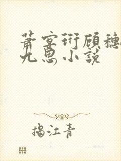 萧宴珩顾穗宁沈九思小说