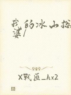 我的冰山总裁老婆/