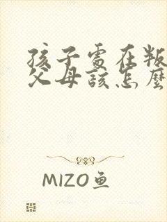 孩子处在叛逆期父母该怎么做