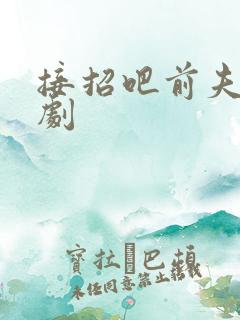 接招吧前夫哥短剧