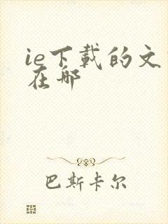 ie下载的文件在哪