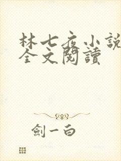 林七夜小说免费全文阅读