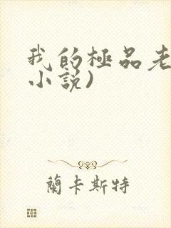 我的极品老婆(小说)