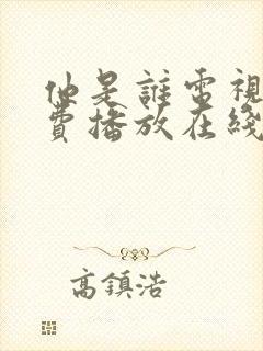 他是谁电视剧免费播放在线观看