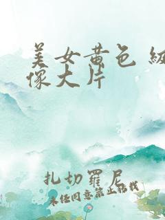 美女黄色 级录像大片