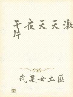 午夜天天激情看片