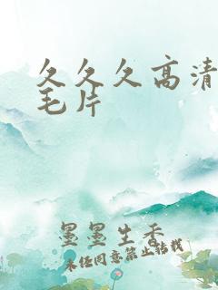 久久久高清国产毛片