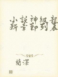 小说神级龙卫最新章节列表免费