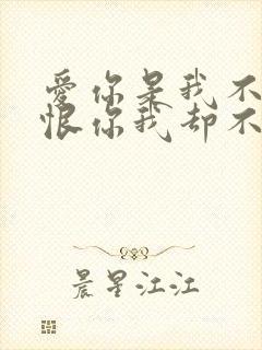 爱你是我不小心恨你我却不忍心是什么歌