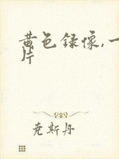 黄色录像,一级片