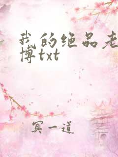 我的绝品老师王博txt