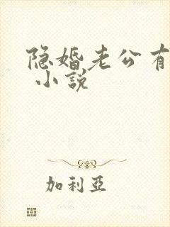 隐婚老公有点甜 小说