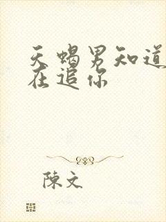 天蝎男知道有人在追你