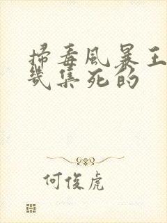 扫毒风暴王奇第几集死的