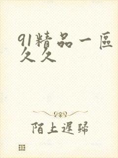 91精品一区久久久