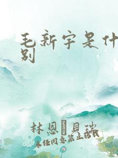 毛新宇是什么级别
