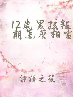 12岁男孩叛逆期怎么相处