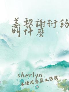 姜黎谢衍的短剧叫什么