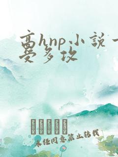 高hnp小说一受多攻