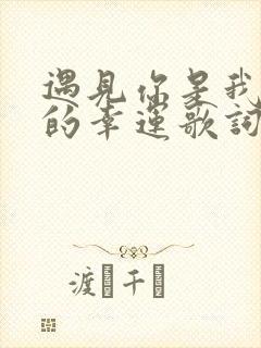 遇见你是我一生的幸运歌词