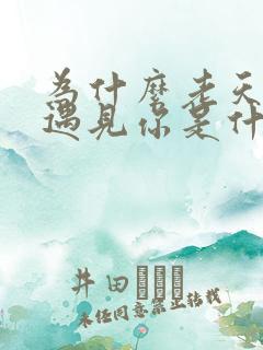 为什么老天让我遇见你是什么歌