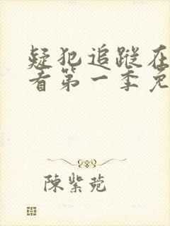 疑犯追踪在线观看第一季免费