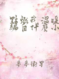 点燃我温暖你改编自什么小说