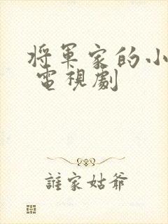 将军家的小娘子 电视剧