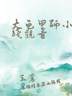 大龟甲师小说在线观看