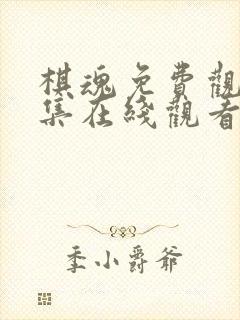 棋魂免费观看全集在线观看电视剧高清