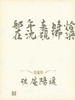 那年来时恰逢你在沈砚卿梁明昭在线阅读