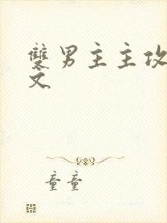 双男主主攻生子文