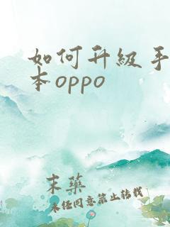 如何升级手机版本oppo