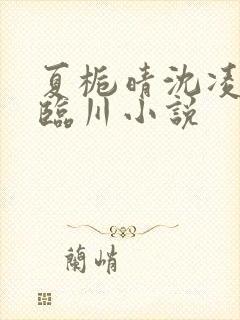 夏栀晴沈凌白顾临川小说