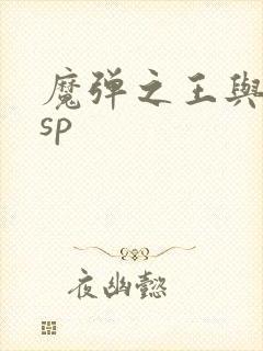 魔弹之王与战姬sp