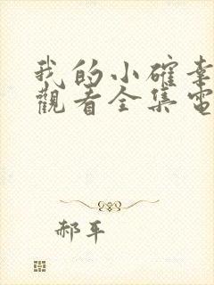 我的小确幸免费观看全集电视剧