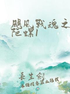 飓风战魂之剑旋陀螺1