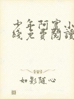 少年阿宾小说在线免费阅读