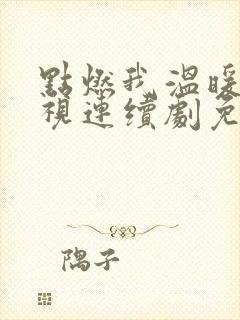 点燃我温暖你电视连续剧免费观看