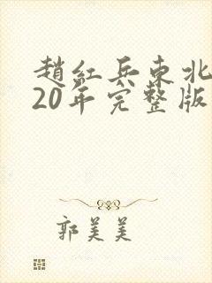 赵红兵东北往事20年完整版